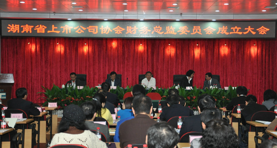 湖南省上市公司協會財務總監委員會成立